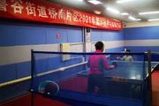 乒乓球馆招合伙人 入股，转让均可