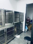 顺义城区成熟宠物店转让
